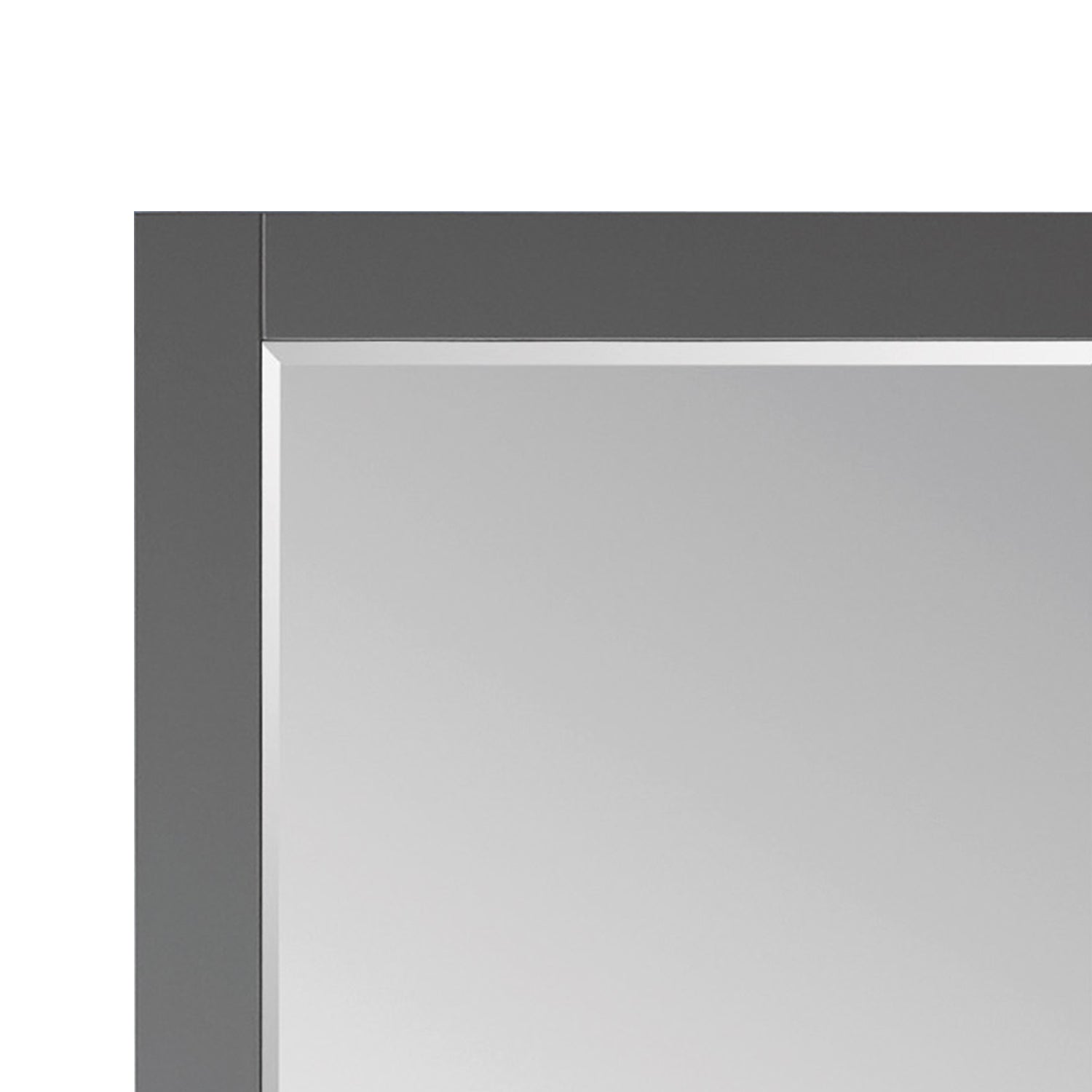 Ivy 24" Rectangular Bathroom Wood Framed Wall Mirror
