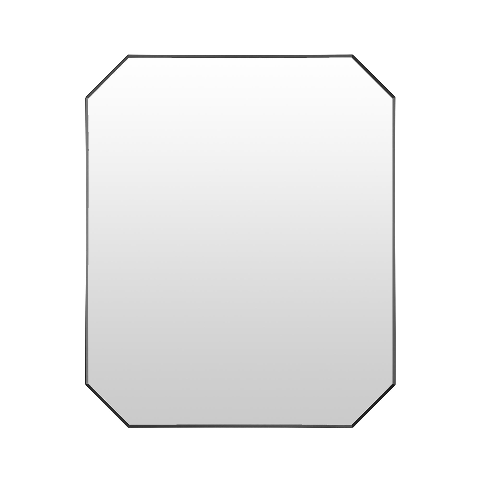 Allure Octagon Aluminum Framed in Modern Bathroom Wall Mirror