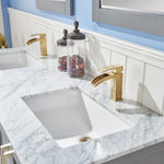Load image into Gallery viewer, Remi 60&quot; Double Bathroom Vanity Set with Marble Countertop
