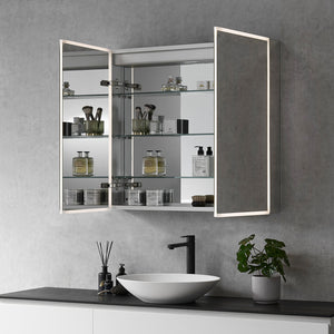 Carsoli Rectangle Frameless Surface-Mount/Recessed LED Lighted Bathroom Medicine Cabinet