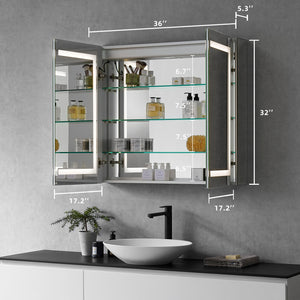 Bojano Rectangle Frameless Surface-Mount/Recessed LED Lighted Bathroom Medicine Cabinet