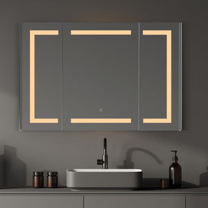 Bojano Rectangle Frameless Surface-Mount/Recessed LED Lighted Bathroom Medicine Cabinet
