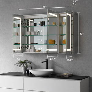 Bojano Rectangle Frameless Surface-Mount/Recessed LED Lighted Bathroom Medicine Cabinet