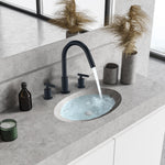 Load image into Gallery viewer, Balen 8. in Widespread 2-Handle Bathroom High-Arc Faucet
