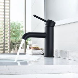 Tubize Single Hole Single-Handle Bathroom Faucet