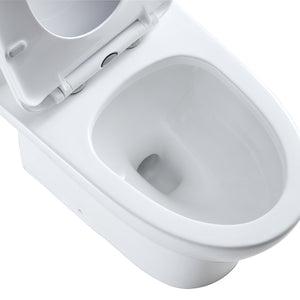 Verona Dual Flush Elongated One-Piece Toilet (Seat Included)
