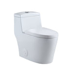 Load image into Gallery viewer, Savona Dual Flush Elongated One-Piece Toilet (Seat Included)
