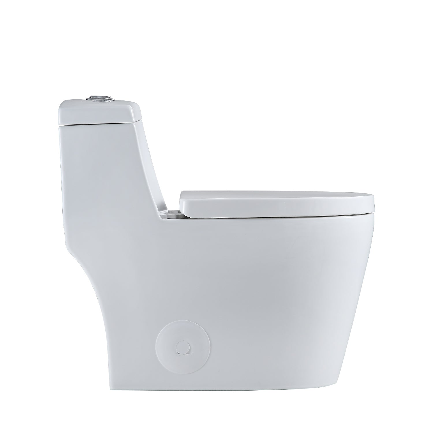 Savona Dual Flush Elongated One-Piece Toilet (Seat Included)