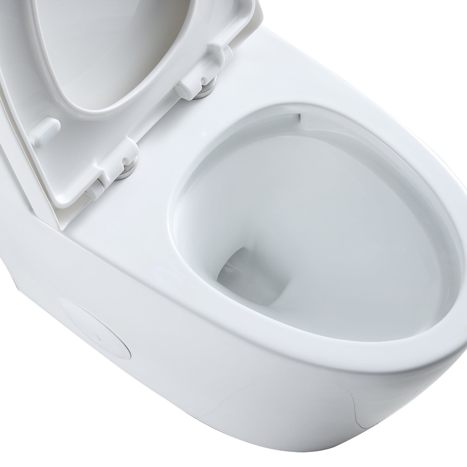 Savona Dual Flush Elongated One-Piece Toilet (Seat Included)