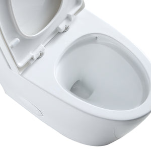 Savona Dual Flush Elongated One-Piece Toilet (Seat Included)