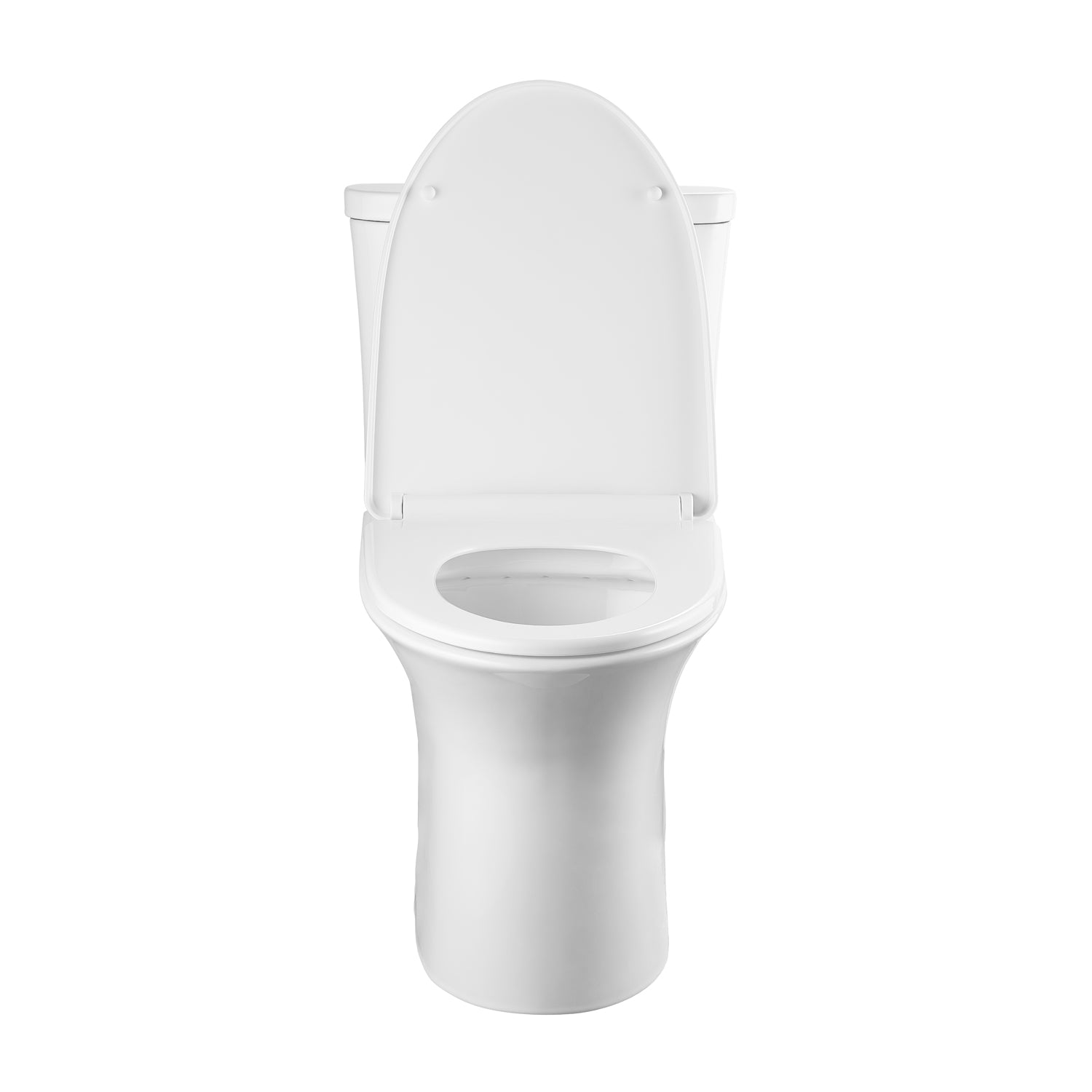 Dual-Flush Elongated One-Piece Black Toilet (Seat Included)